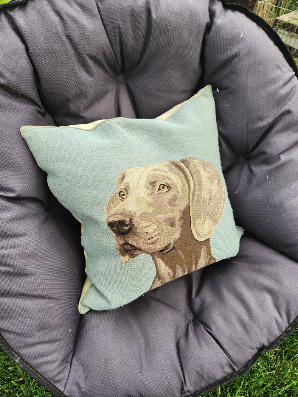 Tapestry Portrait Of Weimaraner Dog Pillow - Picture 5 of 10